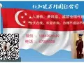 新加坡一手中介   收费低   入境快   3  4 5 号司机