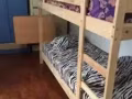 大普通房出租