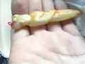 置换手表或者笔记本