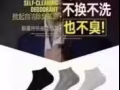 行李箱 襪子
