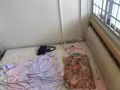 双人床