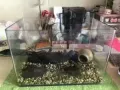 鱼缸转卖