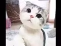 紧急处理两张单人床