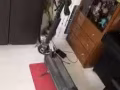 触手猴一量二手滑板车