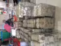 净燕，毛燕批发商