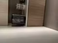 夫妻房單人房出租815B