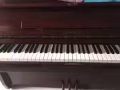 Rubinstein 二手钢琴出售
