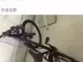 男士自行车