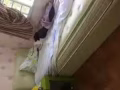 單人床和沙發