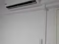 兩人合租招女生室友