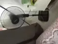马西岭有风扇卖