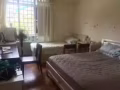 碧山附近豪华公寓超大普通房