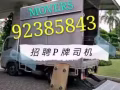 招聘P手牌罗里司机