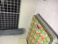 Woodlands MRT附近大牌892A有单间出租，干净安静，人少