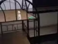 大巴窑修德善寺附近，楼下巴萨，超市，现有男女搭房，欢迎入住