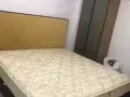 东陵福联邦弯大牌99有夫妻房出租，价格850