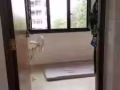 haig road 小房出租