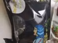 一些厨房用品，全拿20，买到就是赚到