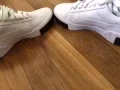puma 火爆女鞋！！