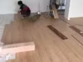  壁紙，隔間 ，內外牆粉刷，美縫   組裝各種家具，製作，衣櫃，櫥櫃  安裝 門