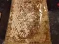 固態野生蜂蜜