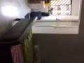 主人房出租