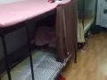 后港一巷108男床位出租