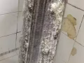 专业安装、清洗、维修冷气98997507