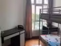 公寓普通房短租