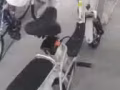 情侣电动车'