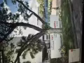 本人遗失钱包一个在 Kepple Logistic Wareh 里面有证件，急用