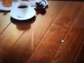 需要聘请（长期）清洁，煮饭阿姨