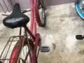三巴旺附近自行车