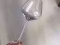红酒杯