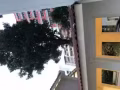 周末结伴同行逛街的有没有人啊？