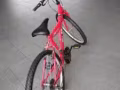 全新脚车，淡宾尼自取