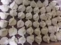 山東威海純手工水餃，歡迎大家的光臨，免費送到地鐵站，