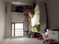 班丹花园402有主人房对外出租