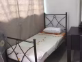 黄线玛丽蒙