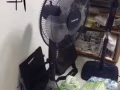 现有二手单人木床，电风扇，电视机，上下铁床，四把椅子出卖，