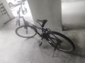 自行车50 己售