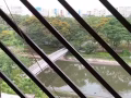 单间 床位出租