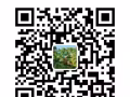 星岛医美！私人定制！扫码咨询有惊喜