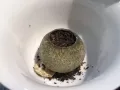 茶叶，金骏眉，铁观音，乌龙，大红袍，普洱，可试茶