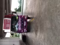 出租10/14/24尺罗里  小型冷藏车  仓库存储和搬运业务  9499858