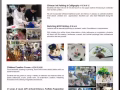 专业素描、油画、水墨书法、儿童画，零基础/有基础/AO水准考试/DSA