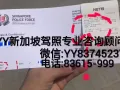 YY新加坡驾照专业咨询顾问