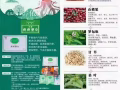 养森瘦瘦包 肥胖终结者