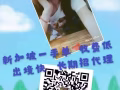 想去新加坡的加我吧    微信18844755789