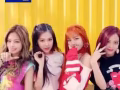 出售BLACKPINK澳门演唱会门票